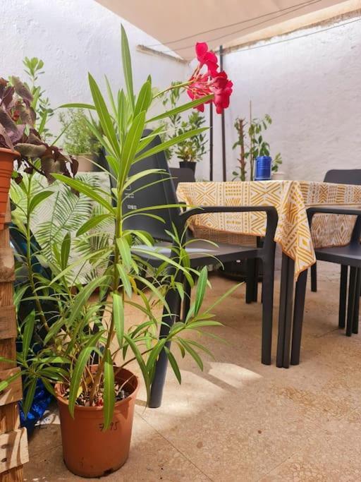 Estancia De Ensueno Y Relax Parking Gratuito 그라나다 외부 사진