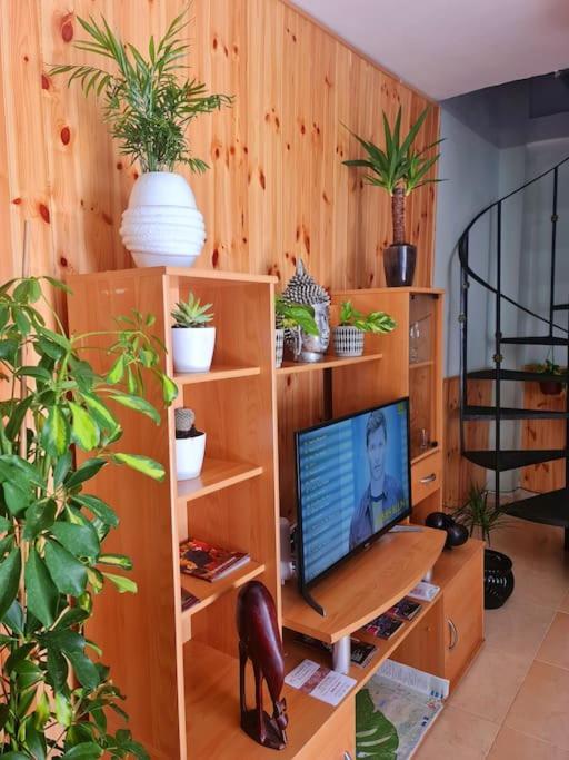 Estancia De Ensueno Y Relax Parking Gratuito 그라나다 외부 사진